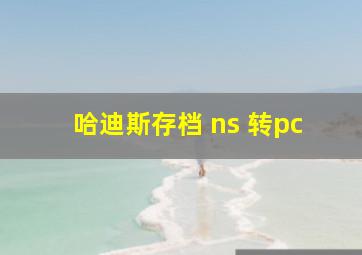 哈迪斯存档 ns 转pc